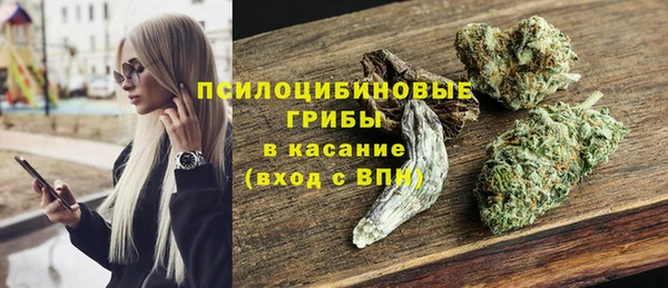 a pvp Мегион