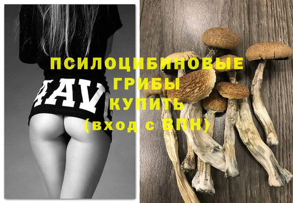a pvp Мегион