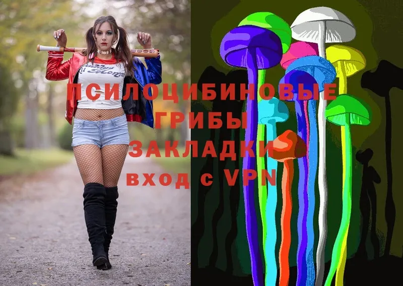 Галлюциногенные грибы Psilocybe Арсеньев