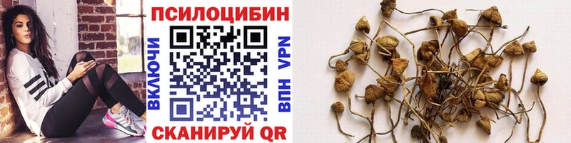 Псилоцибиновые грибы Cubensis  купить наркотики сайты  Арсеньев 