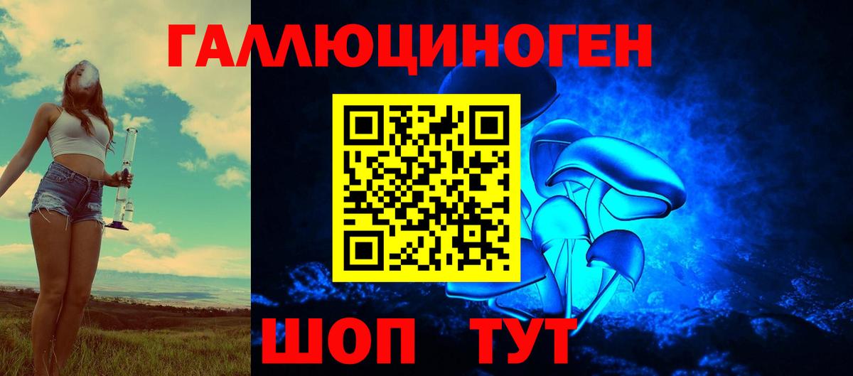 Псилоцибиновые грибы GOLDEN TEACHER Арсеньев