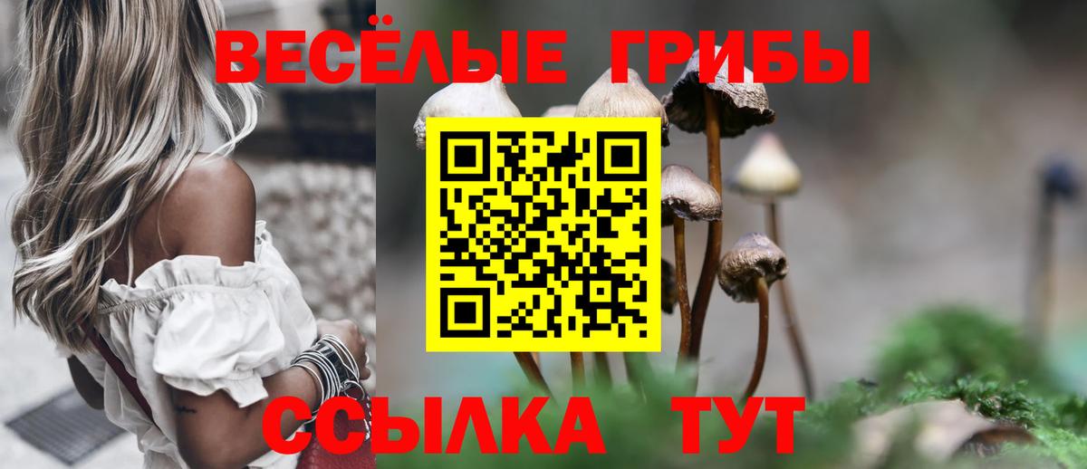 Галлюциногенные грибы Psilocybe  Псилоцибиновые грибы Cubensis  Вход с VPN  Арсеньев 